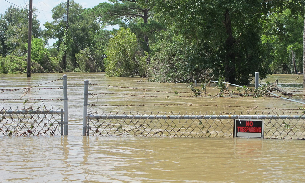 Flooded neighborhood